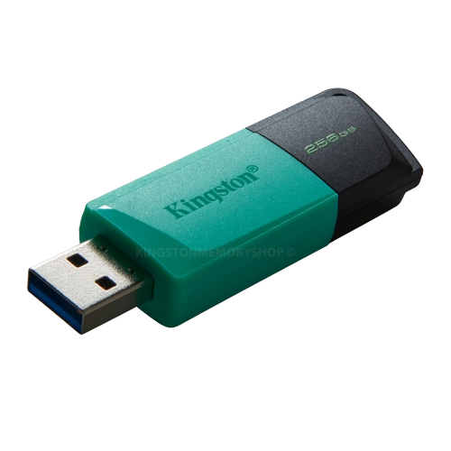 Флешка 256Гб USB 3.2 чорний/бірюзовий DT Exodia M Kingston | Зображення 2