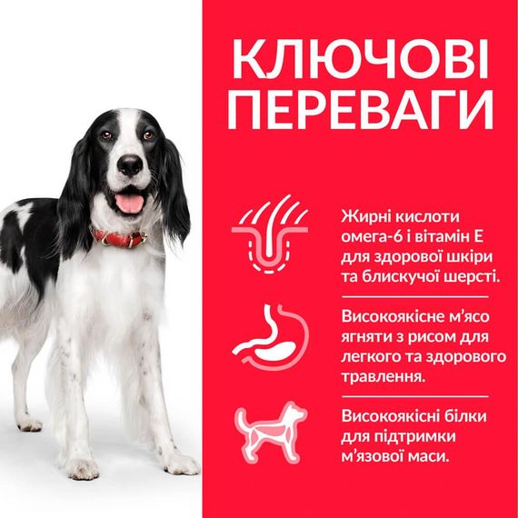 Сухой корм Hill's Science Plan для взрослых собак средних пород с ягненком и рисом 14 кг | Зображення 2