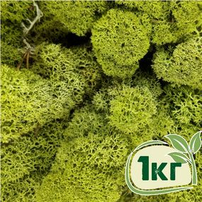 Стабілізований мох ягель Зелений світлий 1 кг
