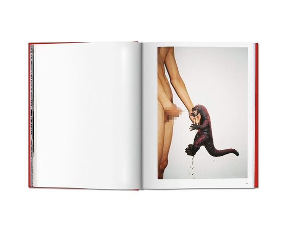 Альбомы известных фотографов книга с работами Рен Ханга "Ren Hang" Taschen книги про искусство фотографии | Зображення 3