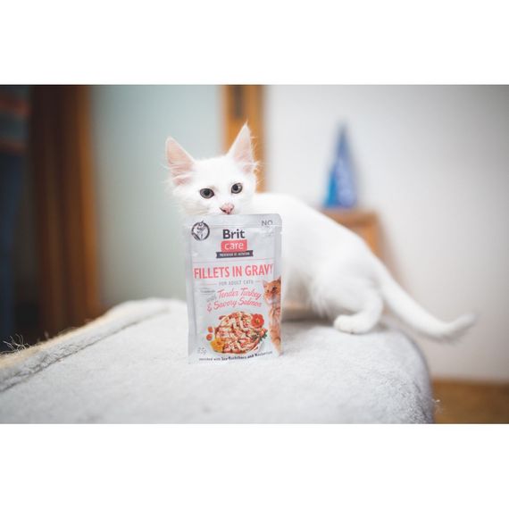 Влажный корм Brit Care Cat Pouch для кошек, филе в соусе, нежная индейка и пикантный лосось, 85 г | Зображення 3