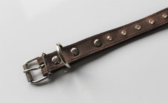 Кожаный ошейник со стразами "Lockdog" коричневый | Зображення 2
