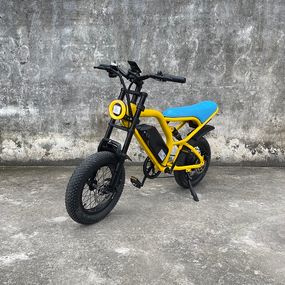 Електровелосипед CB-02 mini, 350W, 48V15Ah, колесо 16х3", 150кг, до 45км, 35км/ч