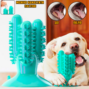 Іграшка для чищення зубів собак «Кактус» на присоску, безпечна жувальна іграшка для всіх порід із масажним ефектом