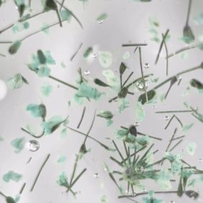 Гель з сухоцвітами Moon Full Flower Fairy Gel №FF02 5 мл