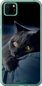 Чохол на Huawei Y5p Димчастий кіт "825u-1936-2448"