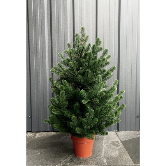 Ялинка Traditional лита в горщику 70 см зелена новинка | Зображення 1