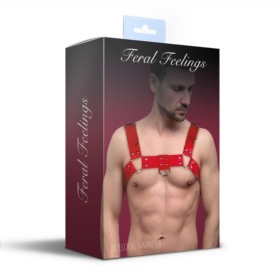 Чоловіча портупея на груди з натуральної шкіри Feral Feelings - Bulldog Harness Red | Зображення 2