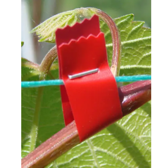 Універсальна стрічка для кріплення рослин, Graft strap 24 метрів 1 пачка 20 шт. | Зображення 5