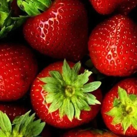 Полуниця Джек (середній) 5 шт.