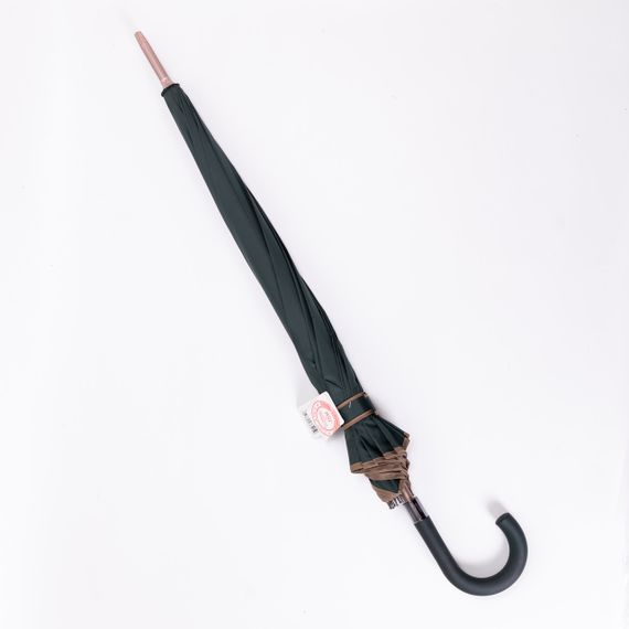 Класична парасолька-тростина з чохлом напівавтомат з поліестеру міцна надійна 12 спиць діаметр 120 см Зелений HP-23-16GR | Зображення 1