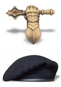 Берет + кокарда "Танковые войска"