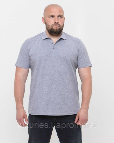 Сіра Футболка чоловіча ПОЛО — Сіра футболка поло з коротким рукавом 5XL - тканина лакоста | Зображення 2