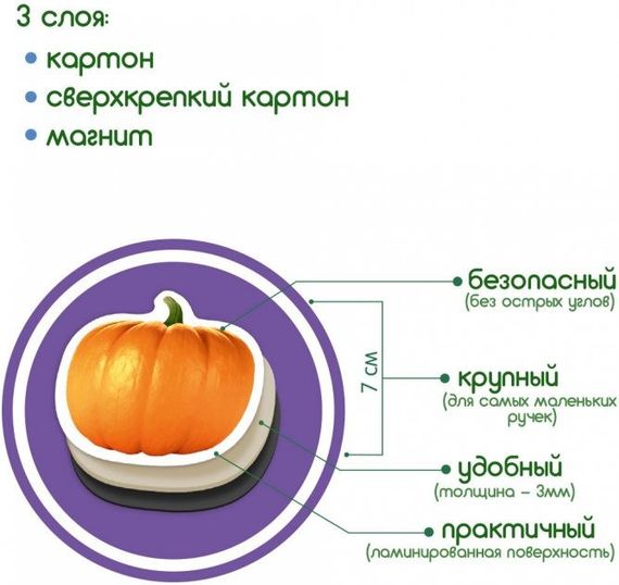 Набор магнитов Magdum "Фрукты и овощи" ML4031-15 EN | Зображення 3
