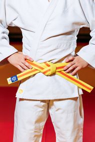 Жовто-помаранчевий пояс для дзюдо ТМ "Kintayo", 140 зріст