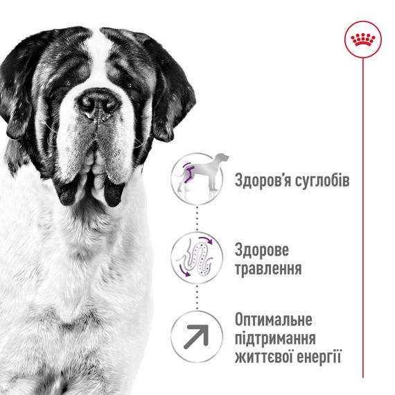 Корм Royal Canin Giant Adult сухой для взрослых собак гигантских пород 4 кг | Зображення 3