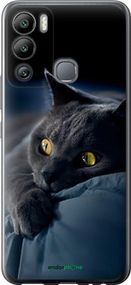 Чохол на Infinix Hot 12i Димчастий кіт "825u-2863-2448"