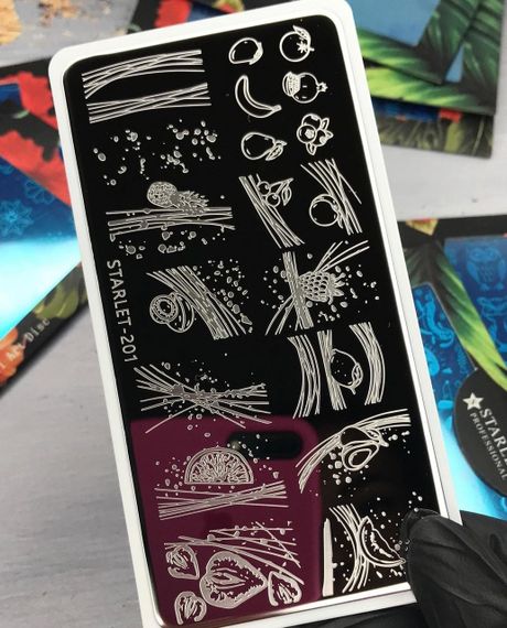 Пластина 201 для стемпинга Starlet Professional (12х6см)