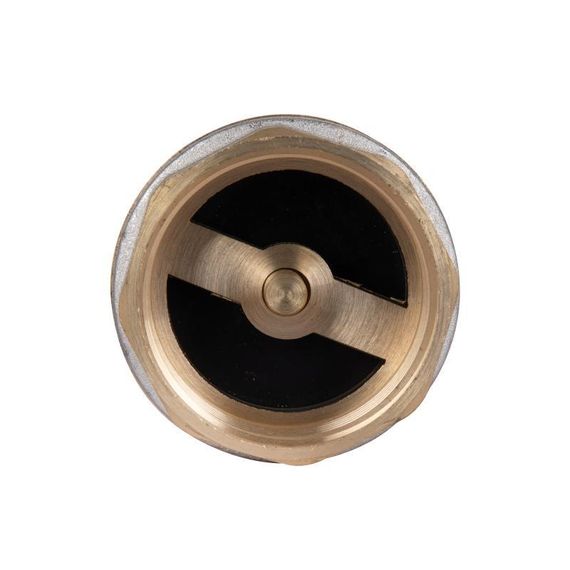 Зворотний клапан Thermo Alliance Standart 1 1/2" ВВ із латунним штоком TAS240W40 | Зображення 4