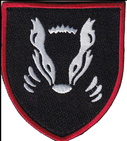 Шеврон 41 ОМБР