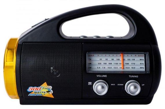 Портативная колонка Golon RX-710 BT с фонариком FM приемником