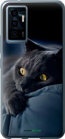 Чохол на Vivo V23e Димчастий кіт "825u-2641-2448"