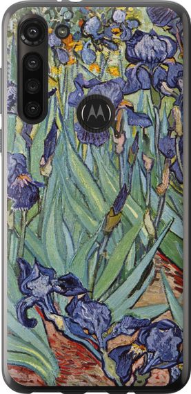 Чехол на Motorola G8 Power Винсент Ван Гог. Ирисы "161u-1940-17620"