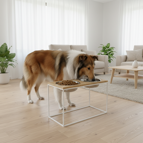 Миски на подставке для очень больших собак Hollky Base XXL40 (2 × 2,8 л) BXXL40-643240-WHNT | Зображення 1