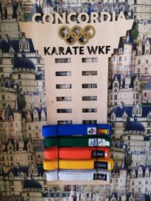 Медальниця карате, тейквондо, айкідо, іменна з поличкою, дерев'яна, тримач для медалей, медальниці
