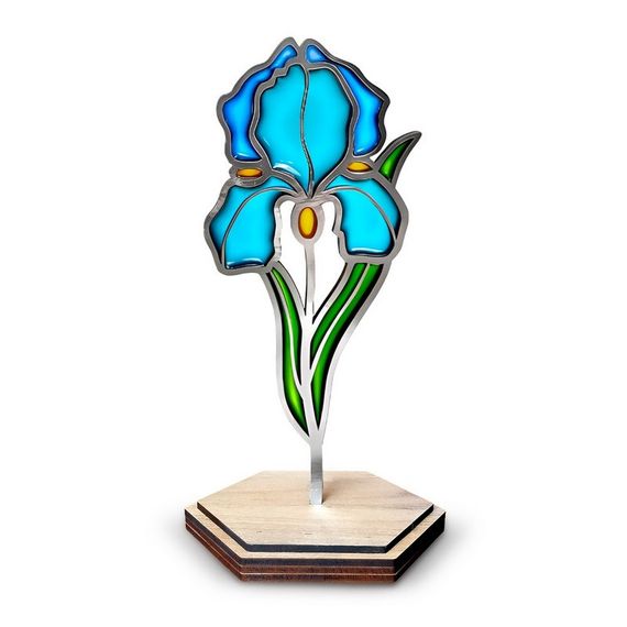 Набір для вітражного живопису за номерами "Ніжний ірис" FDSGK-013