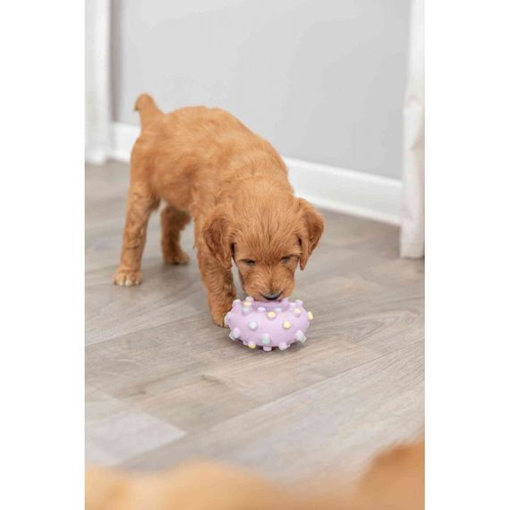 Іграшка Trixie для цуценят Кільце Junior латекс 8 см | Зображення 2