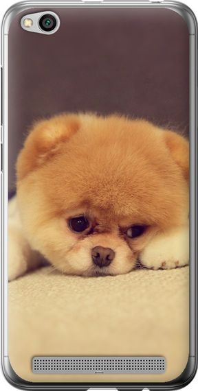 Чехол на Xiaomi Redmi 5A Boo 2 "890u-1133-17620"