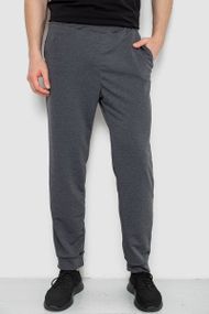 Спортивні штани чоловічі, колір сірий, 238R122