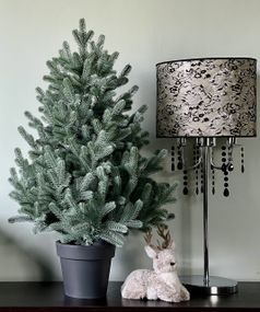 Ёлка Traditional литая в горшке 90 см голубая новинка