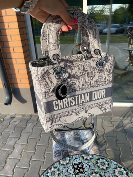 Жіноча текстильна сумка Christian Dior Lady D-Lite gray Діор сіра 080 | Зображення 7