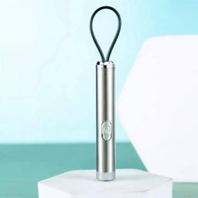 Лазер брелок іграшка котяча указка 5 картинок червоного кольору ZK-2313L Сріблястий