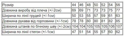 Костюм чоловічий Носи своє 44 Сірий (p-4256-35689) | Зображення 1
