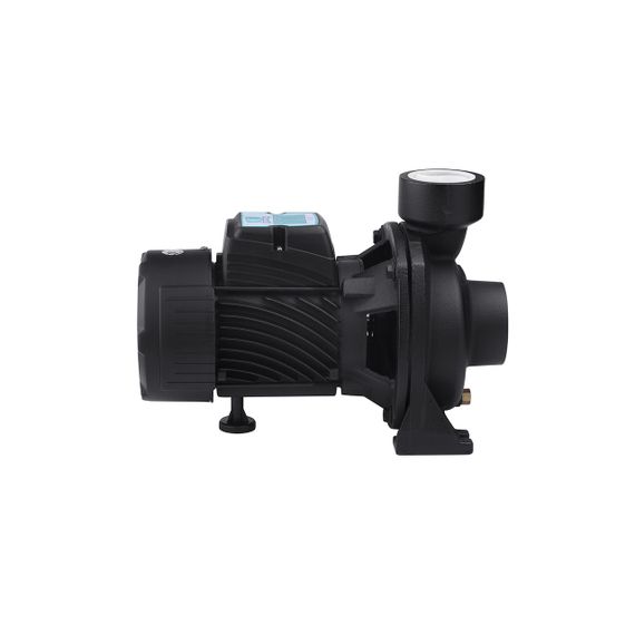 Насос поверхневий поливальний Pumpman TGA1C Нmax 15 м Qmax 30 куб.м 2"х2" 750 Вт | Зображення 2
