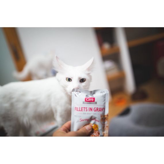 Корм вологий Brit Care Fillets in Gravy Savory Salmon д/котів філе в соусі з пікантним лососем 85 г | Зображення 2