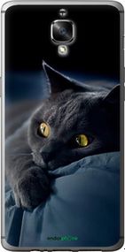 Чохол на OnePlus 3T Димчастий кіт "825u-1617-2448"