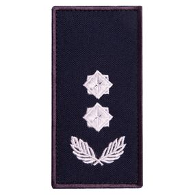 Шеврон IDEIA 87459 Україна 5*10  Габардин Синій