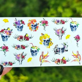 Слайдер S-11 на водяній основі (5x8см)