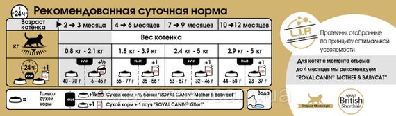 Сухой корм для котят Royal Canin Kitten British Shorthair 400 г 2566004 | Зображення 1