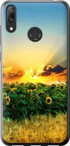 Чехол на Huawei Y7 2019 Украина "1601u-1638-17620"