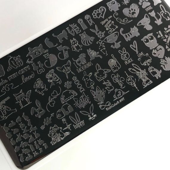 Пластина 097 для стемпінгу RichColor (12х6см)