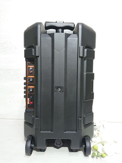 Акустична система з високою потужністю 300 Вт XPRO GZ-W1312 12 (MER-15680_2762) | Зображення 5
