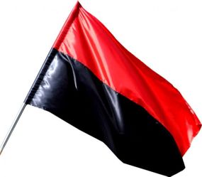 Прапор УПА Букопт атлас 90*135 см BK3030