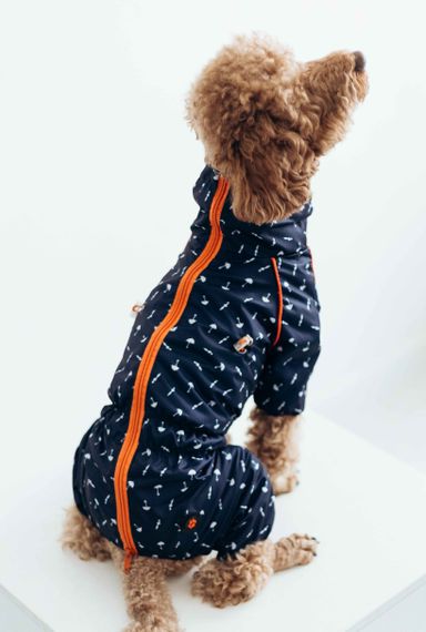 Дощовик кант парасольки M-99 | Зображення 1