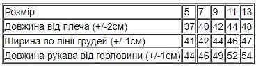 Куртка джинсова для хлопчика Носи своє 110 Синій (p-15032-172173) | Зображення 5