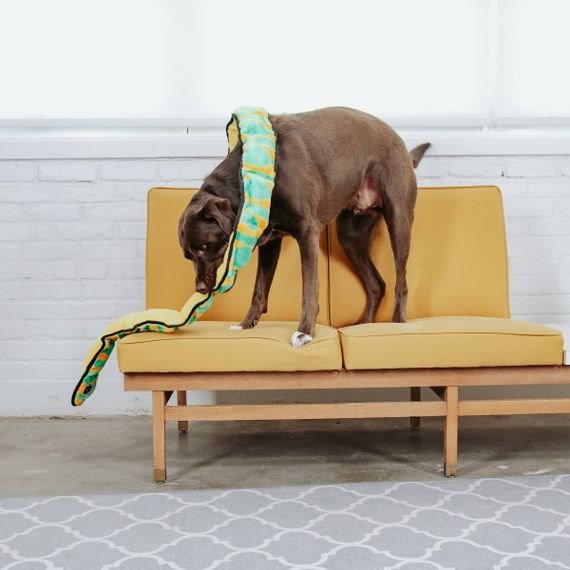 Іграшка для собак OutwardHound Invincibles Snakes блакитна, 62 см | Зображення 3